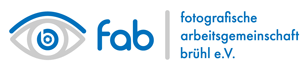 website logo